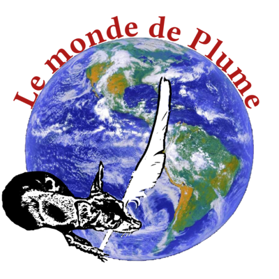 Plume Iceberg_Lettres rouge OCC