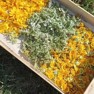 IMG_20220613_114745_947 IMG_20220613_114745_947