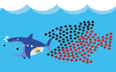 Petits poissons solidaires Petits poissons solidaires